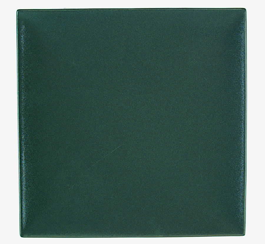 Stone Glaze Sage Green Dinner Plate by Mikasa-1