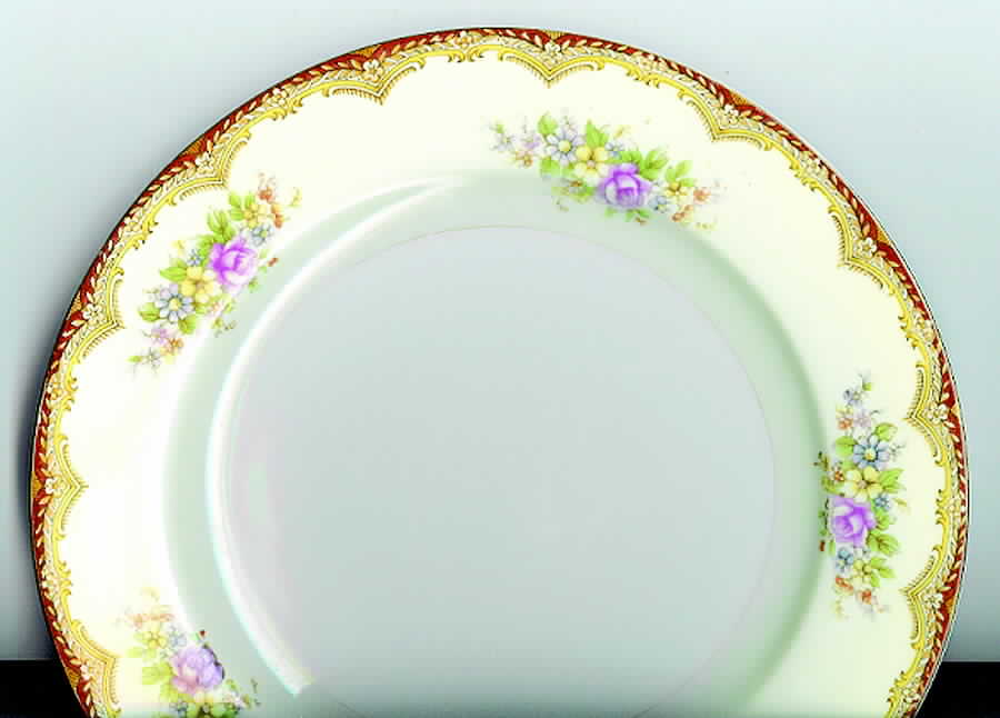 MOY6 Dinner Plate by Moriyama-1