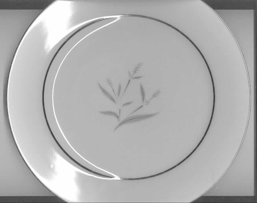 Renata Dinner Plate by Mikasa-1