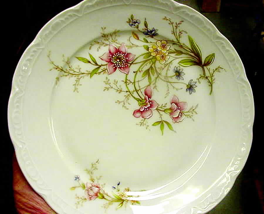 MIT119 Salad Plate by Mitterteich-1