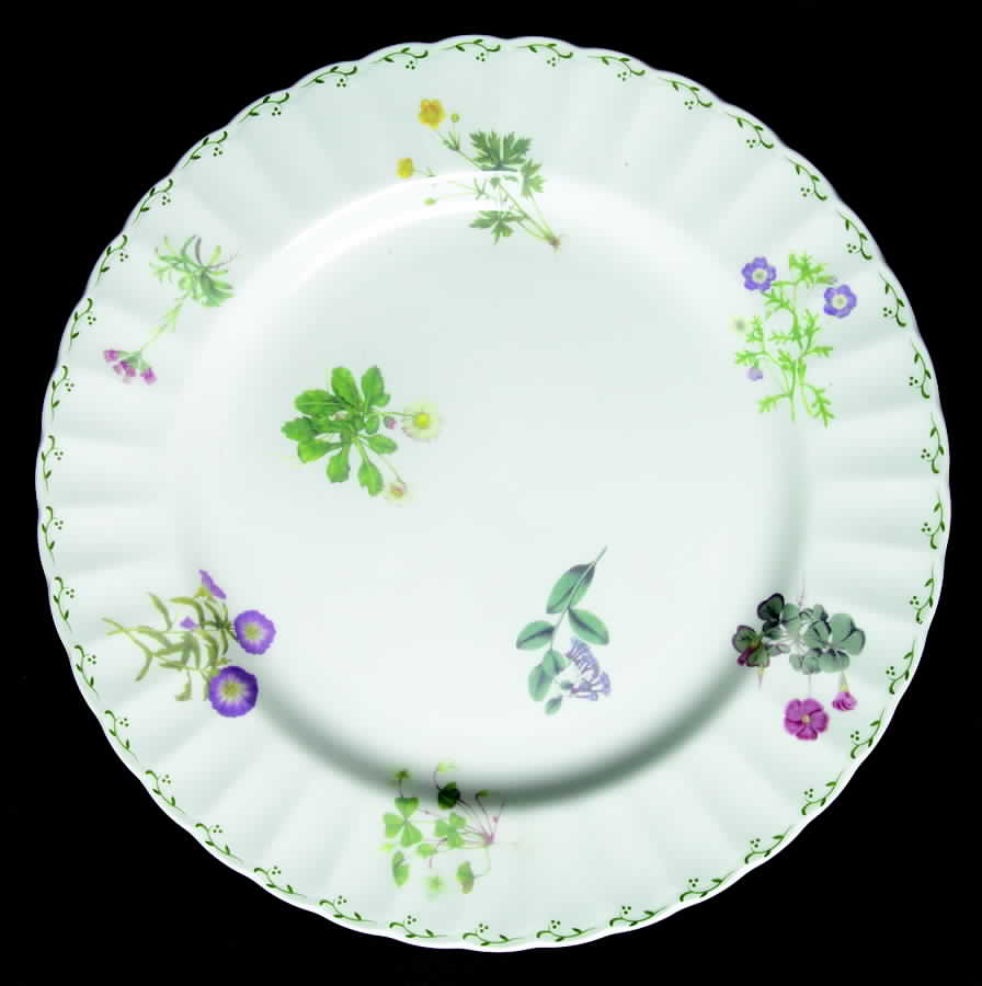 Botanical Medley Dinner Plate by Mikasa-1