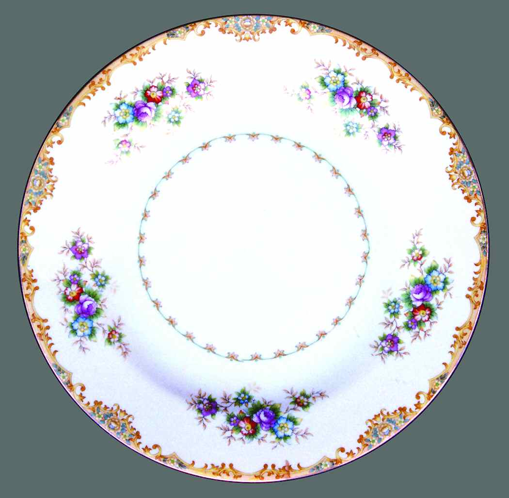 MTS6 Dinner Plate by Mitsukura-1
