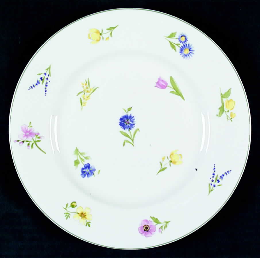 Floral Gallery Salad Plate by Mikasa-1