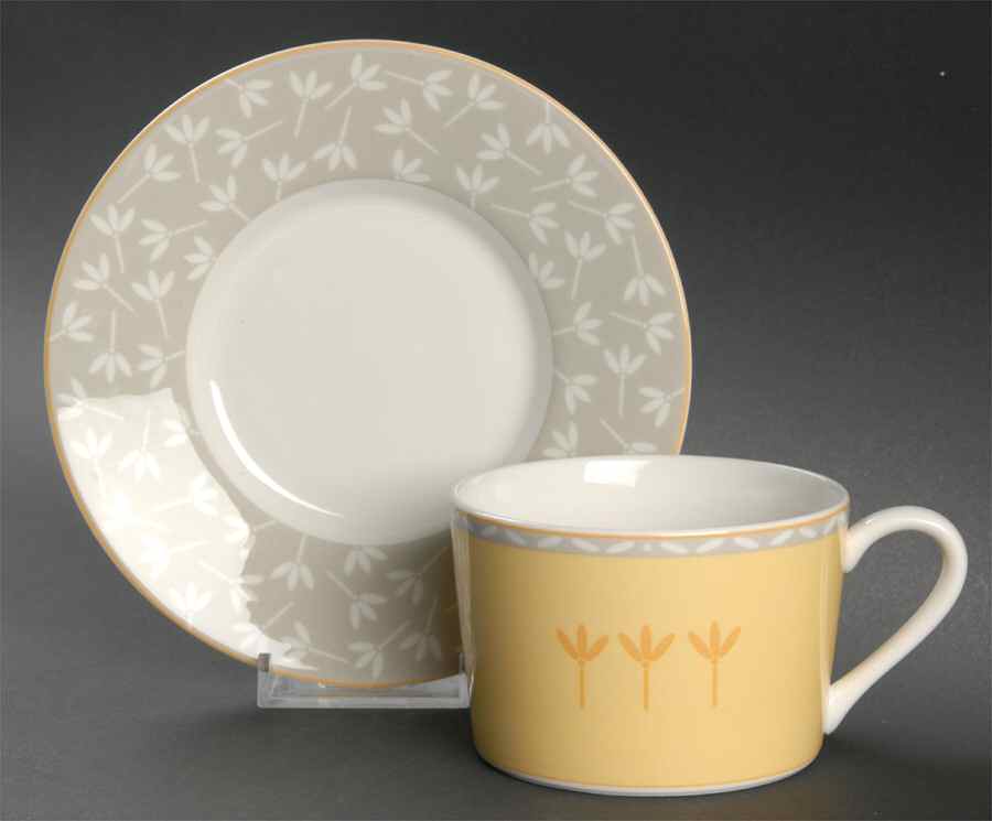 Country Estate Flat Cup & Saucer Set by Mikasa-1