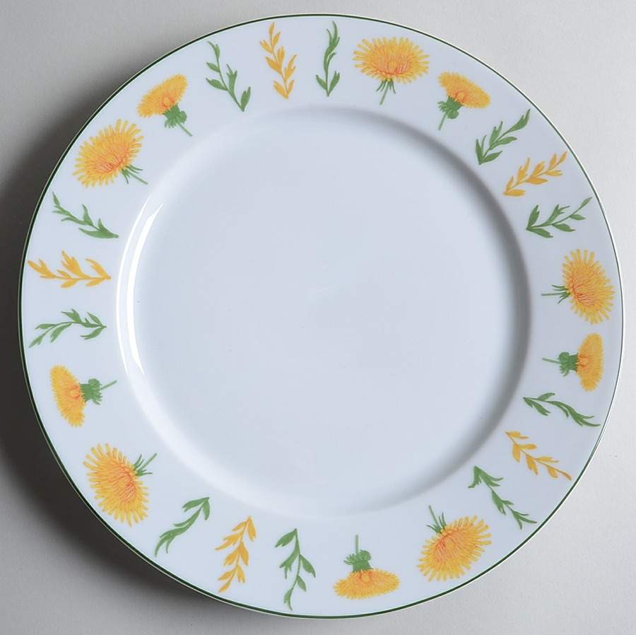 Wild Flowers Dinner Plate by Mikasa-1