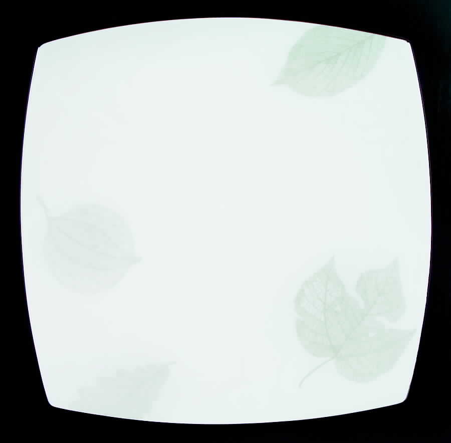 Silver Leaves Dinner Plate by Mikasa-1