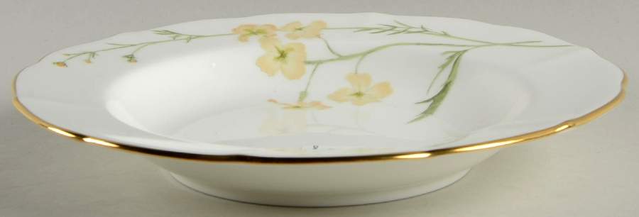 Nature's Elegance Rim Soup Bowl by Mikasa-1