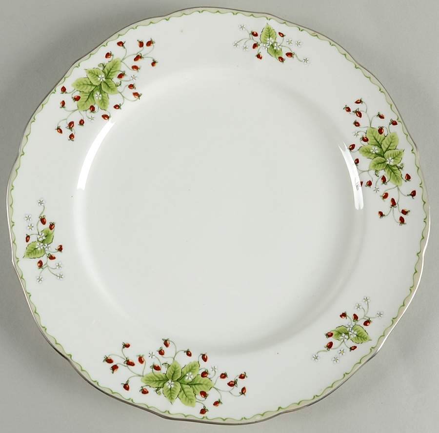 Wildberry Dinner Plate by Mikasa-1
