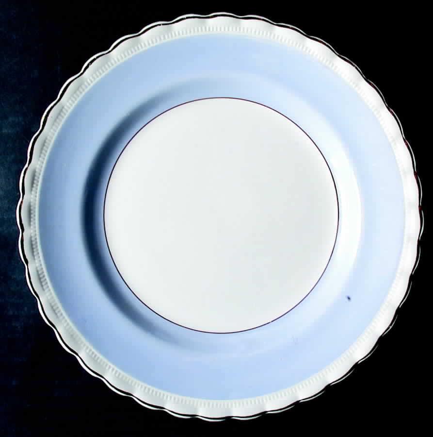 MEK130 Dinner Plate by J & G Meakin-1