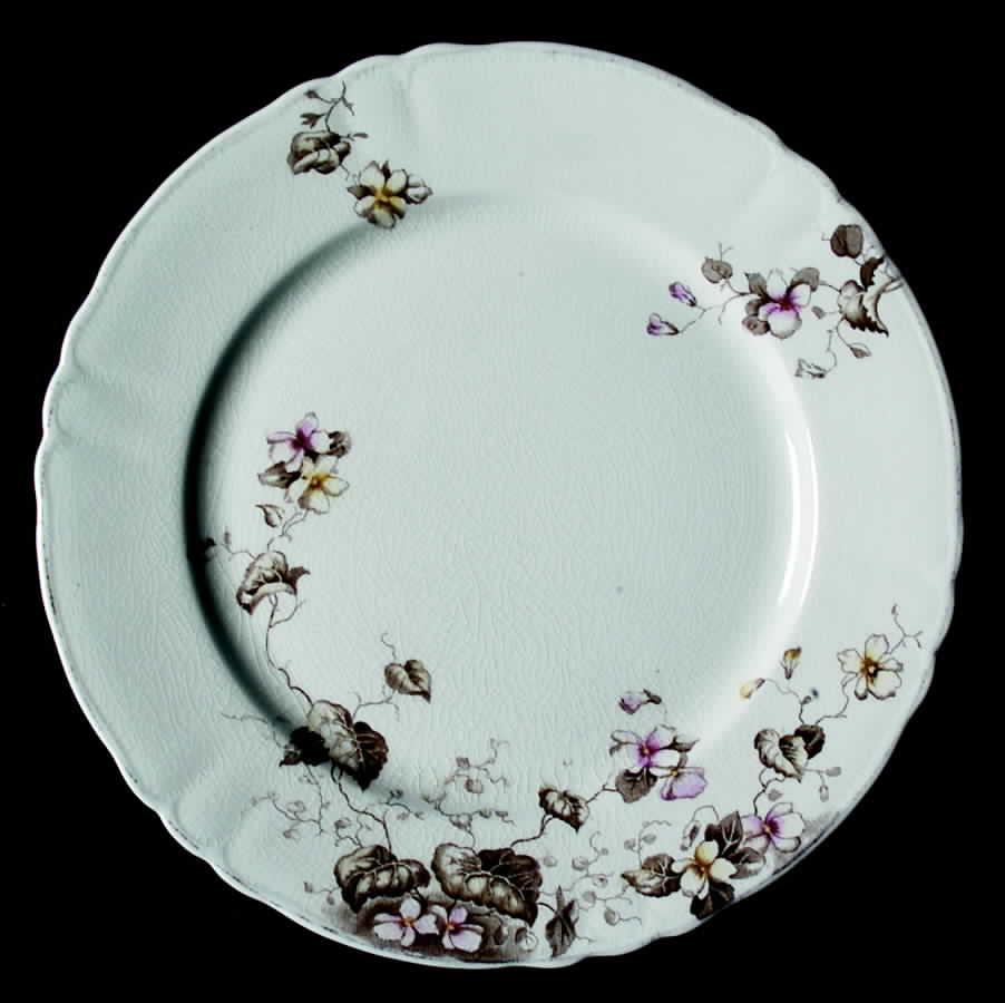 Viola Luncheon Plate by J & G Meakin-1