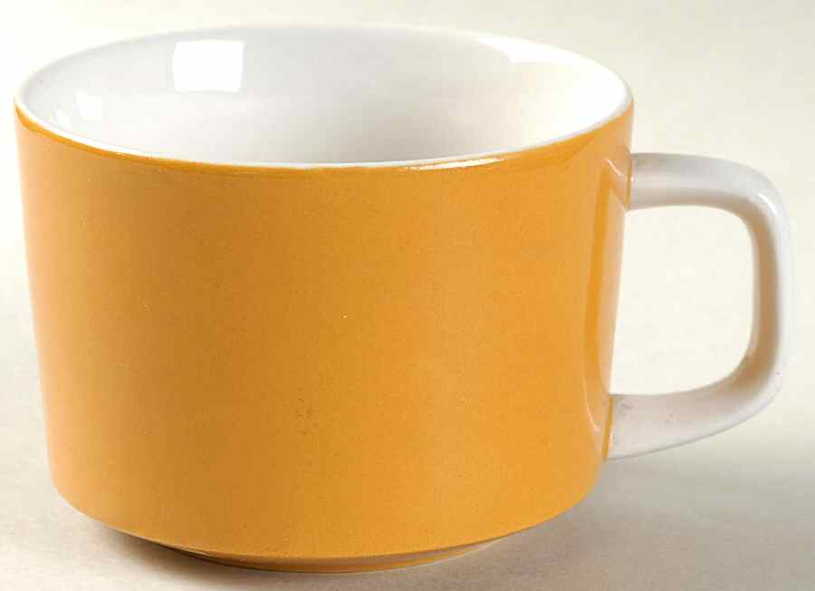 Seminar Flat Cup by Mikasa-1