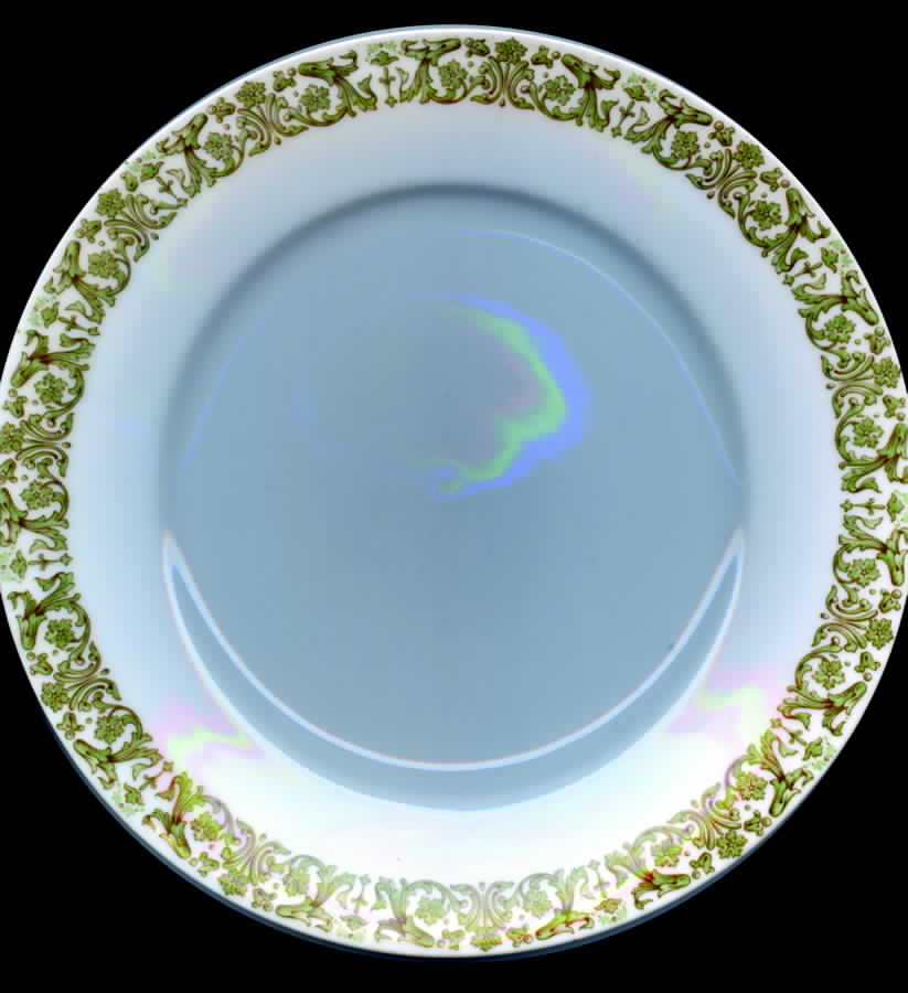 MFC5 Dinner Plate by M F & Co (Marshall Fields)-1