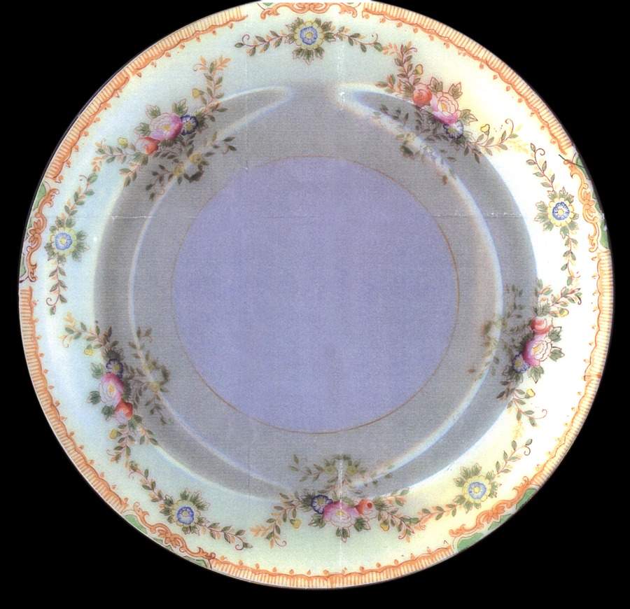 MSJ10 Dinner Plate by MS (Japan)-1