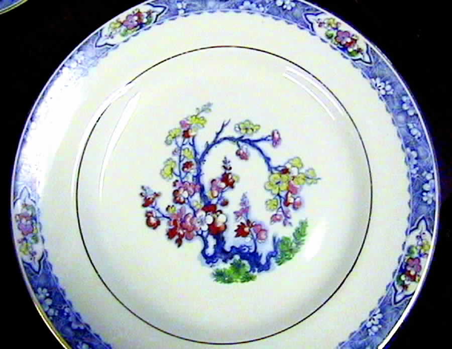 Rosemont Dinner Plate by J & G Meakin-1