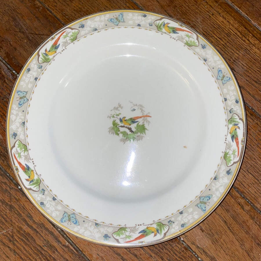 Ricardo Dinner Plate by J & G Meakin-1