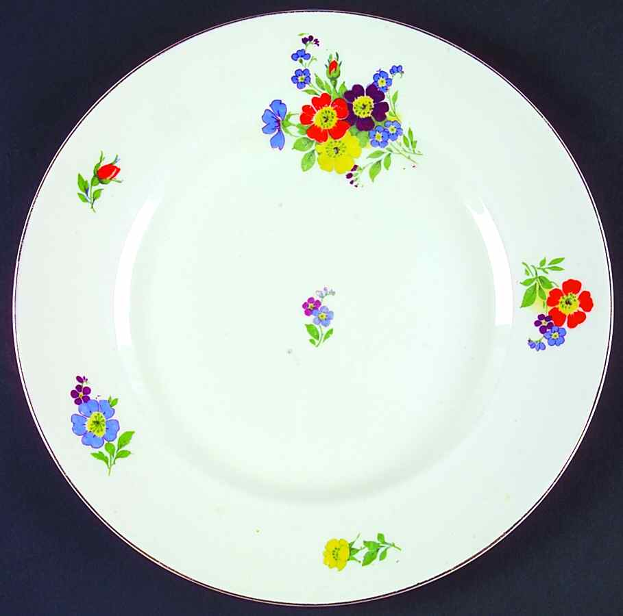 Freda (Smooth) Dinner Plate by Alfred Meakin-1