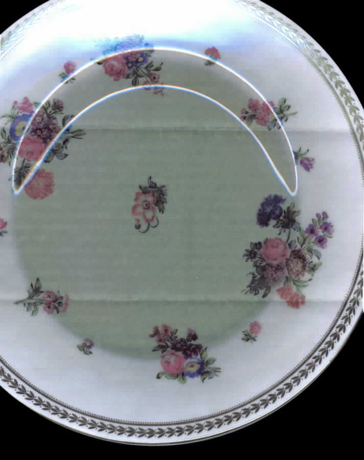 S86 Dinner Plate by Minton-1