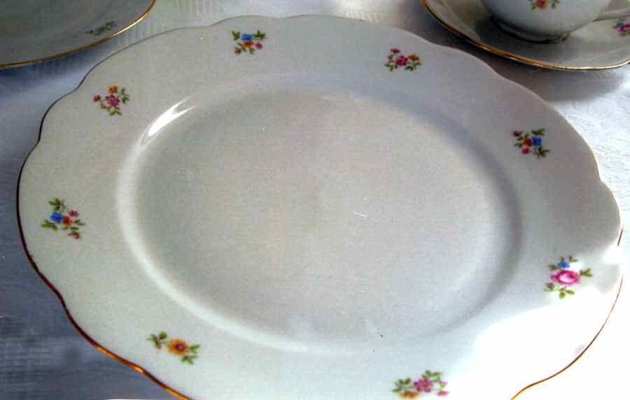 MIT136 Dinner Plate by Mitterteich-1