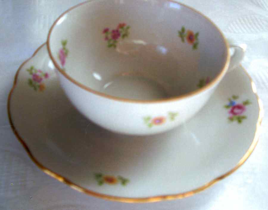 MIT136 Flat Cup & Saucer Set by Mitterteich-1