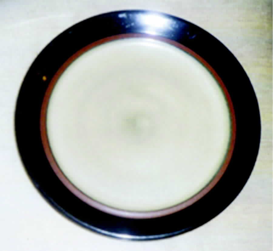 Village Potter Dinner Plate by Mikasa-1