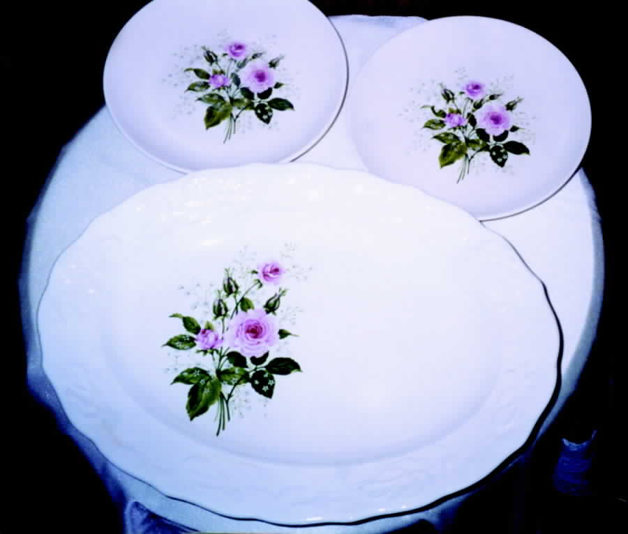 MTC66 Dinner Plate by Mount Clemens-1