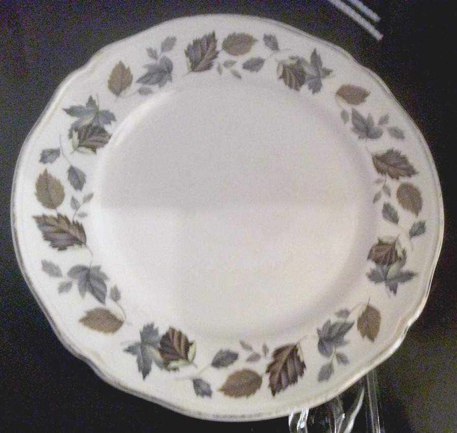 Springwood Salad Plate by Alfred Meakin-1