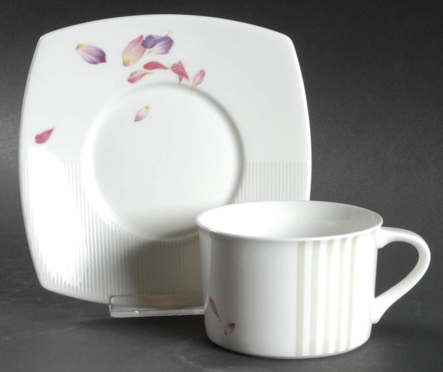 Botanical Fancy Flat Cup & Saucer Set by Mikasa-1
