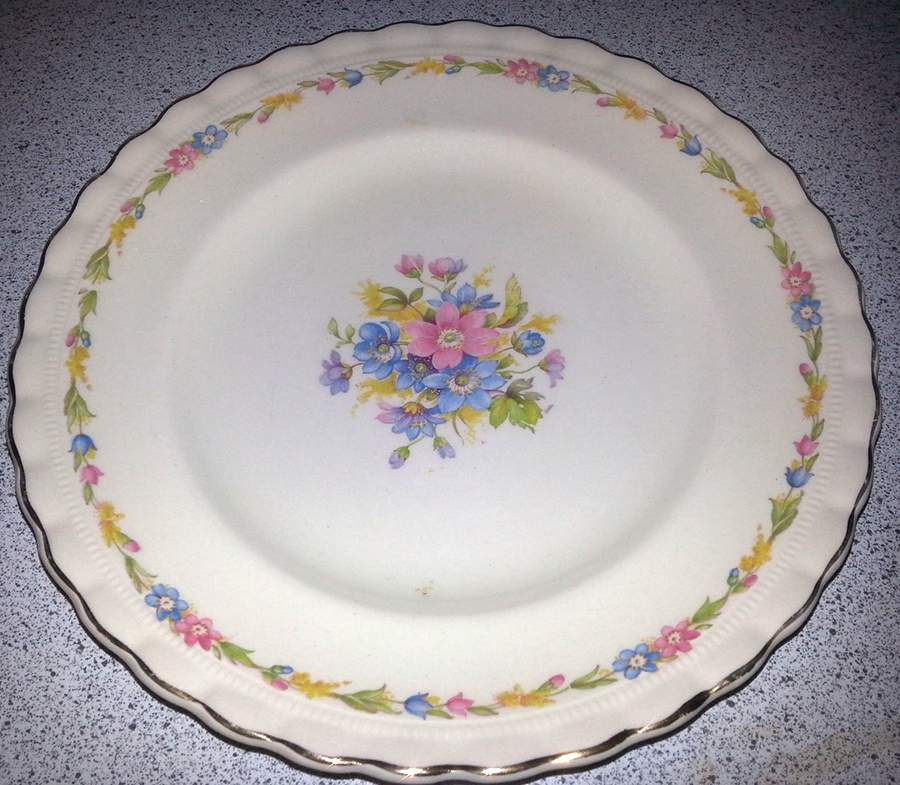 MEK150 Dinner Plate by J & G Meakin-1