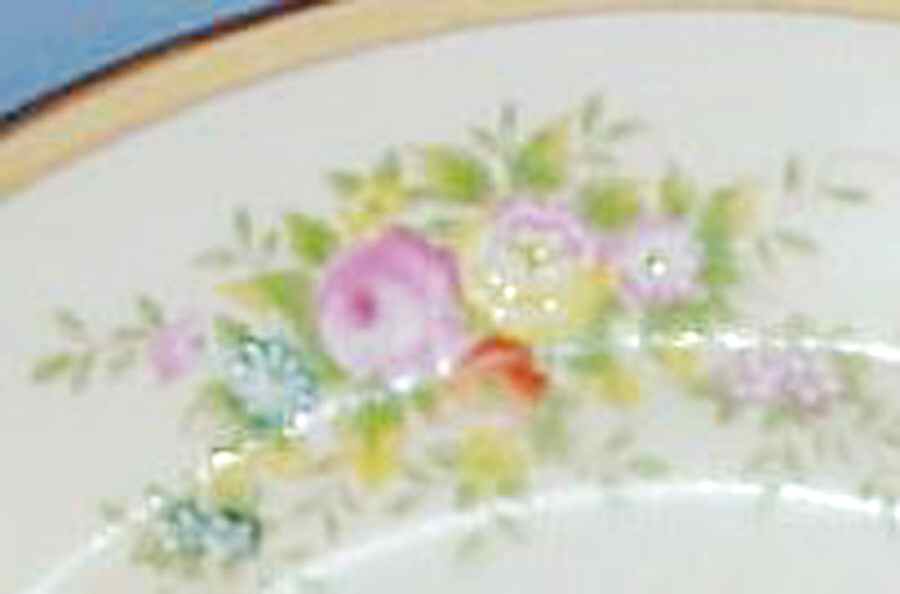 MEI864 Dinner Plate by Meito-1