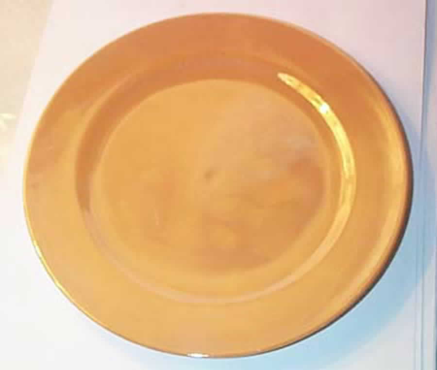 MEI867 Dinner Plate by Meito-1