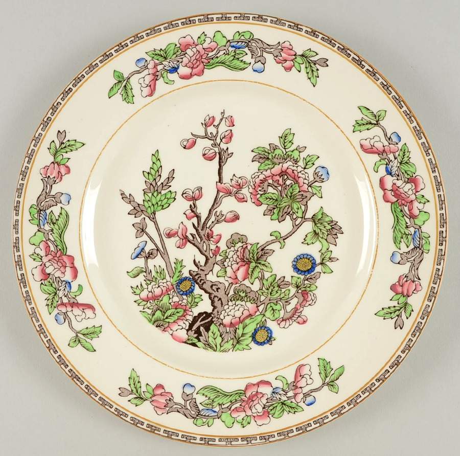 Indian Tree (Yellow Verge) Dinner Plate by Alfred Meakin-1