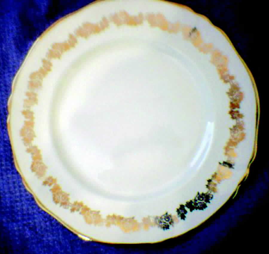 Mea159 Dinner Plate by Alfred Meakin-1