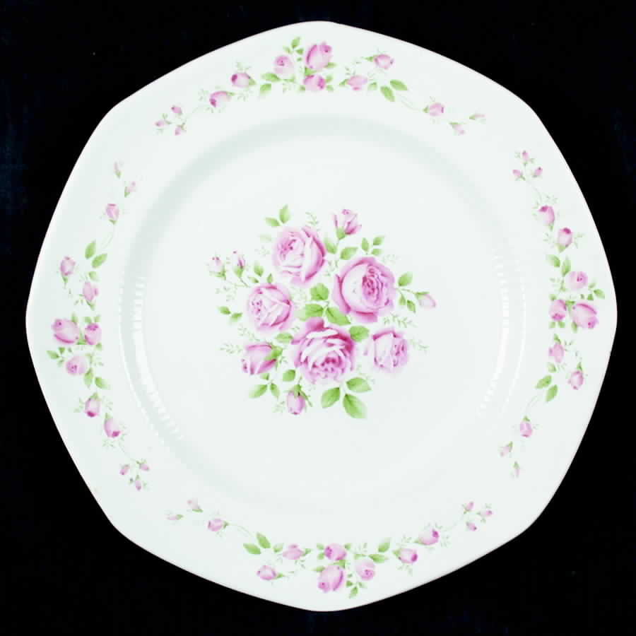 MTC75 Dinner Plate by Mount Clemens-1