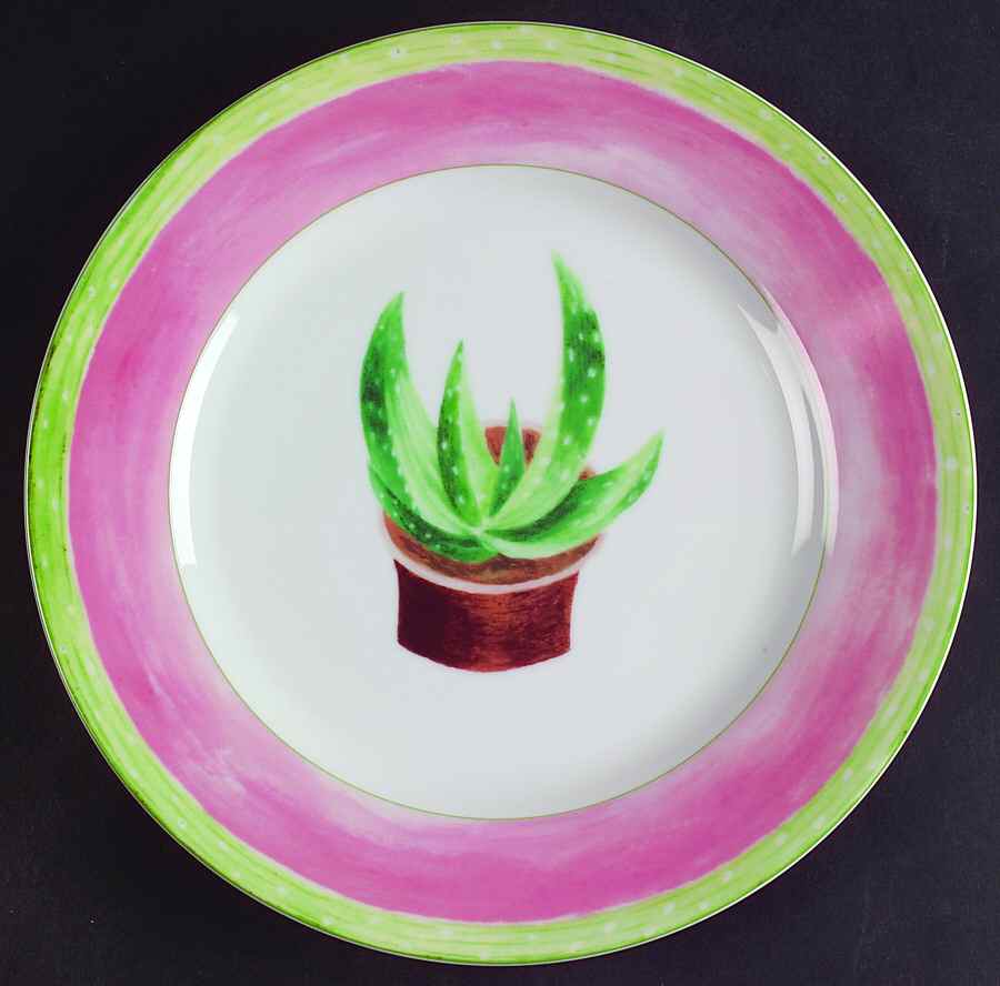 Cactus Breakfast Plate by Mikasa-1
