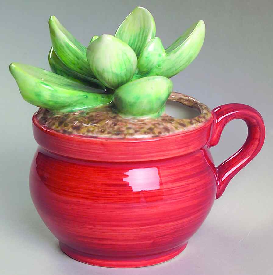 Cactus Creamer by Mikasa-1