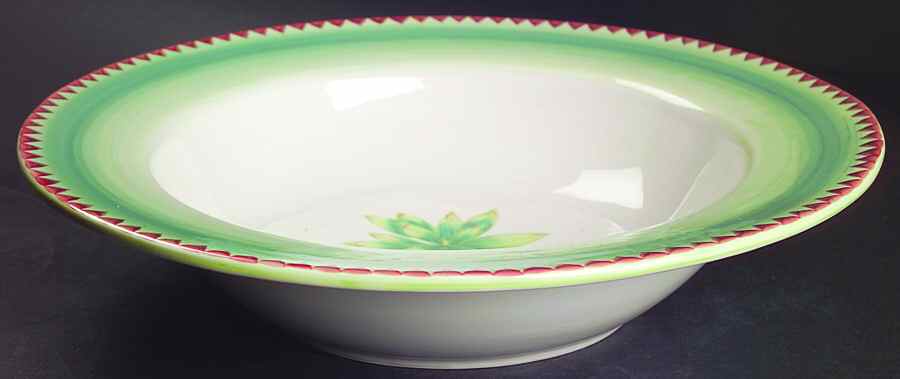 Cactus 13" Pasta Serving Bowl by Mikasa-1