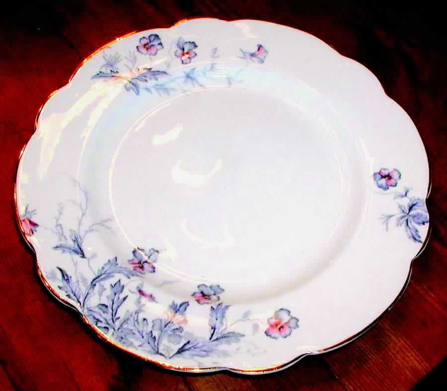 MAD149 Dinner Plate by John Maddock & Sons-1