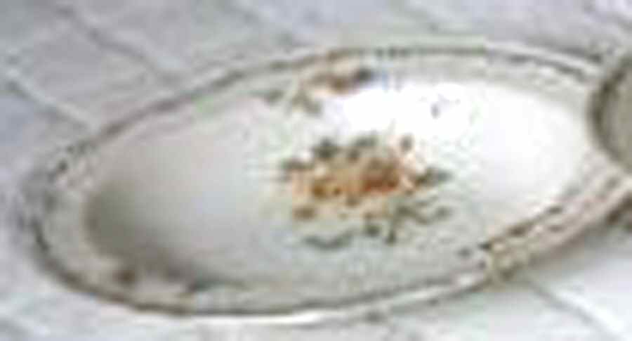 Churchill Rim Soup Bowl by Alfred Meakin-1