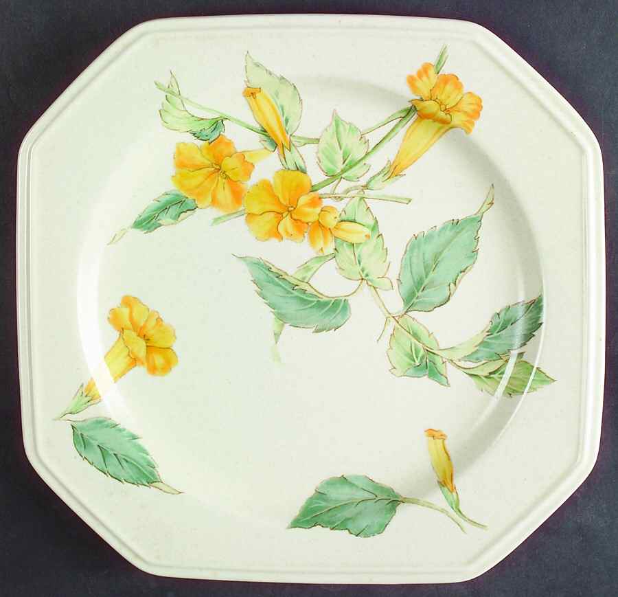 Sunshine Court Dinner Plate by Mikasa-1