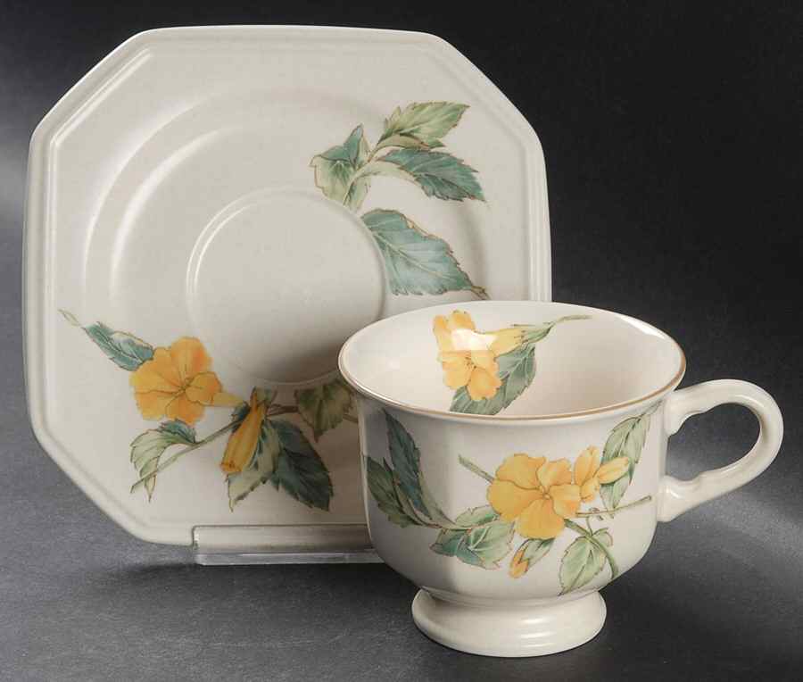 Sunshine Court Footed Cup & Saucer Set by Mikasa-1