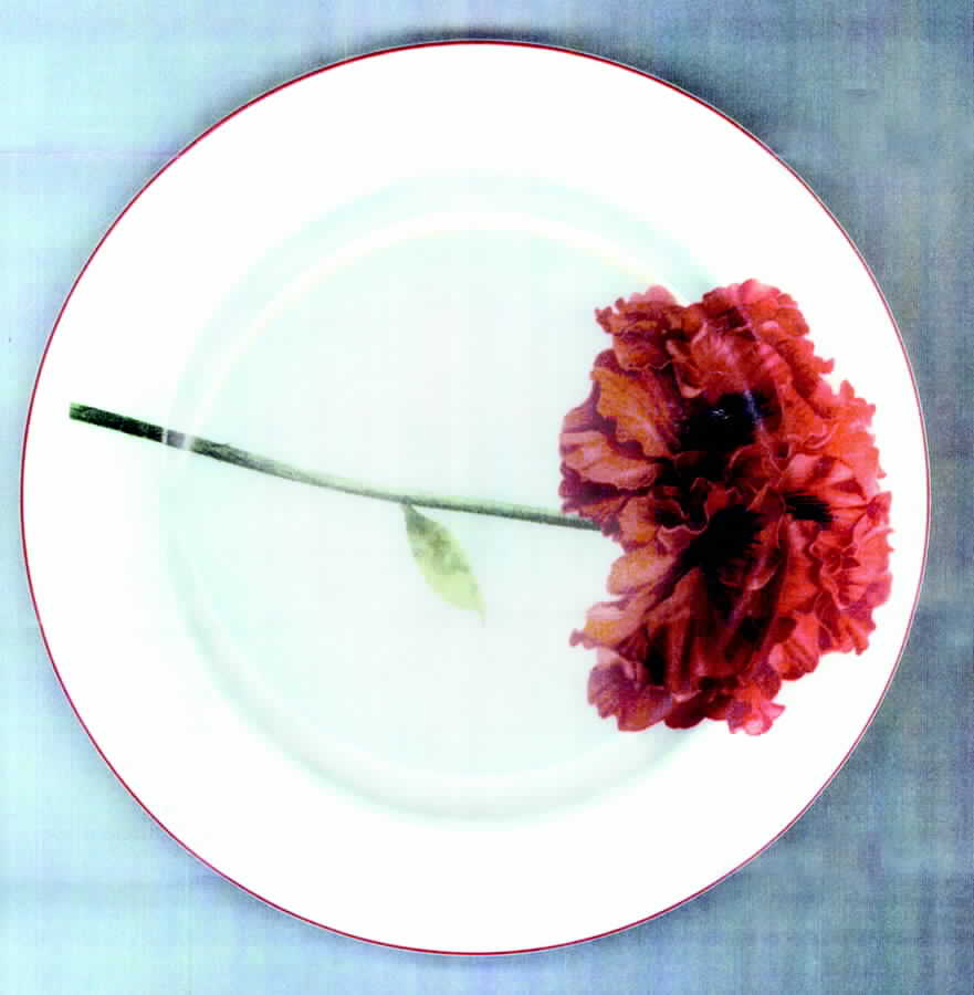 MUT1 Salad Plate by Muti-1
