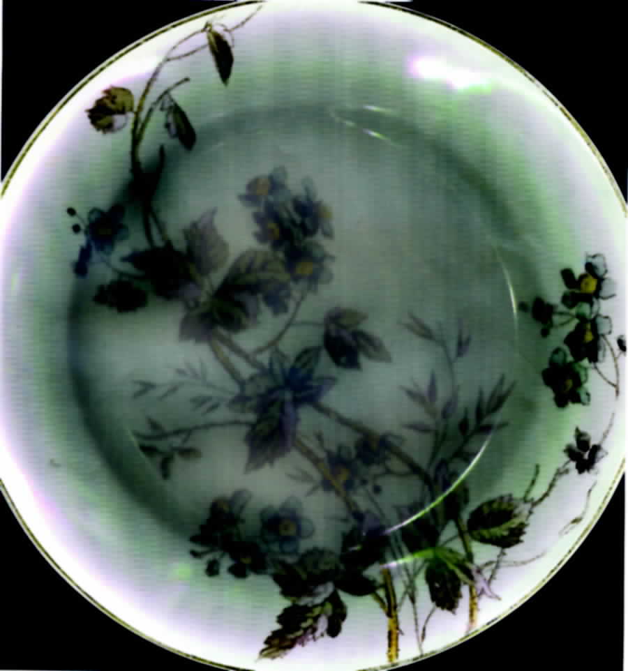 MAD153 Dinner Plate by John Maddock & Sons-1