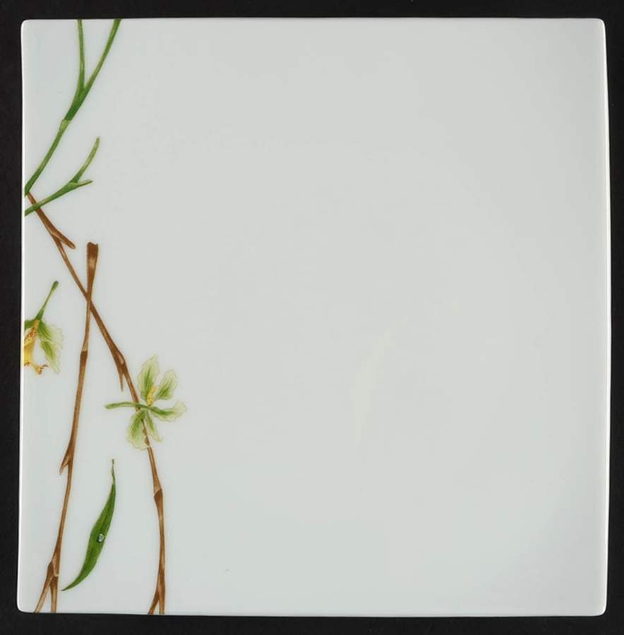 Jardin de Flore (Oxygene Shape) Square Salad Plate by Medard de Noblat-1
