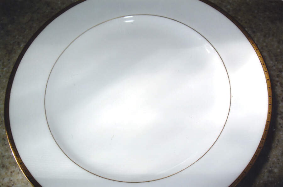 M215 Dinner Plate by Minton-1