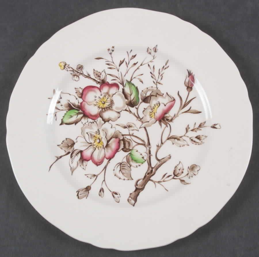 Wild Rose Brown Multicolor (Rim) Salad Plate by Alfred Meakin-1