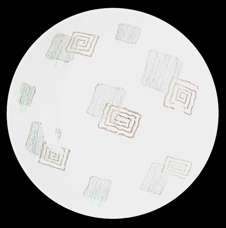 Terrace 9" Round Vegetable Bowl by Marcrest-1
