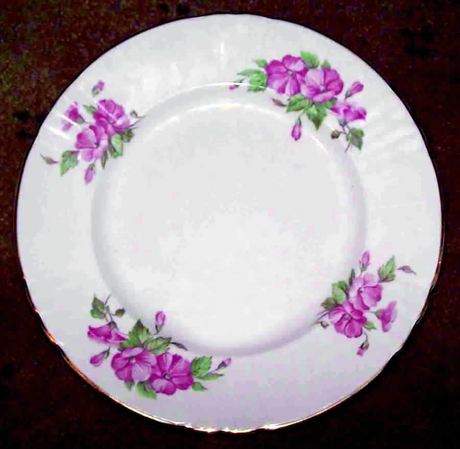 6025 Dinner Plate by Myott Staffordshire-1