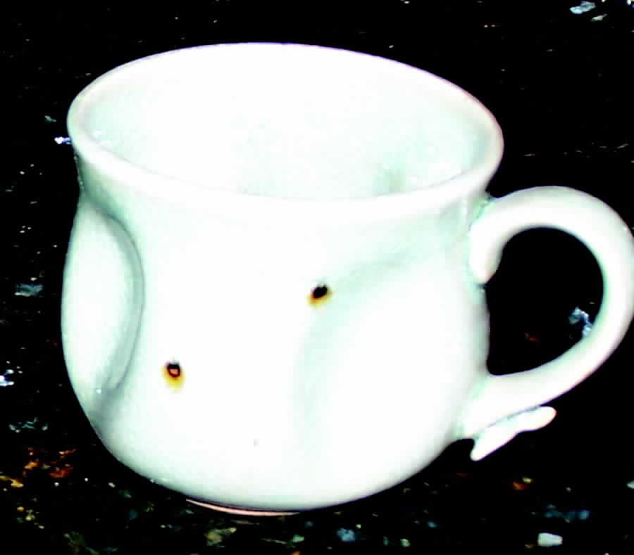 MIK24 Flat Cup by Mikasa-1