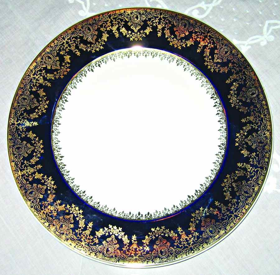 M863bu Dinner Plate by Myott Staffordshire-1