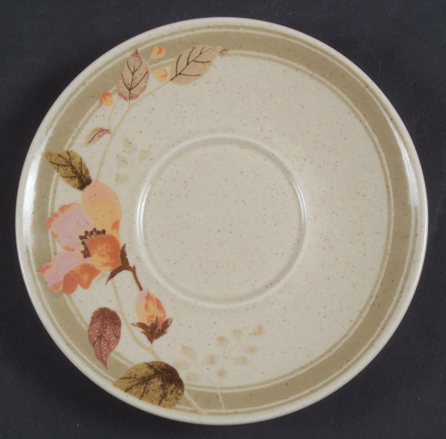 Big Sur Saucer by Mikasa-1